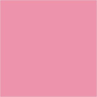 Rosa chicle