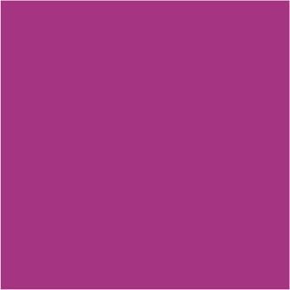 Rosa magenta