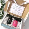 Una caja de regalo abierta contiene dos botellas negras con la palabra Nico y una botella rosa con el mismo diseño. La caja incluye papel decorativo blanco y una tarjeta de invitación con una ilustración de una paloma. Una rama verde con hojas se encuentra al lado de la caja.