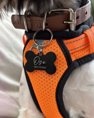 Perro pequeño con arnés naranja y collar marrón con una Placa de identificación para mascota personalizada - Hueso - Aluminio, con la etiqueta Oso Micoshi, como única placa de identificación de aluminio para mascotas.